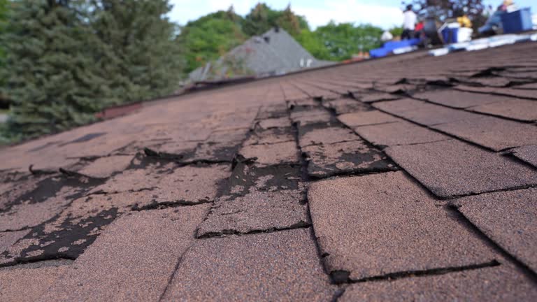 Fast & Reliable Emergency Roof Repairs in Dewitt, AR